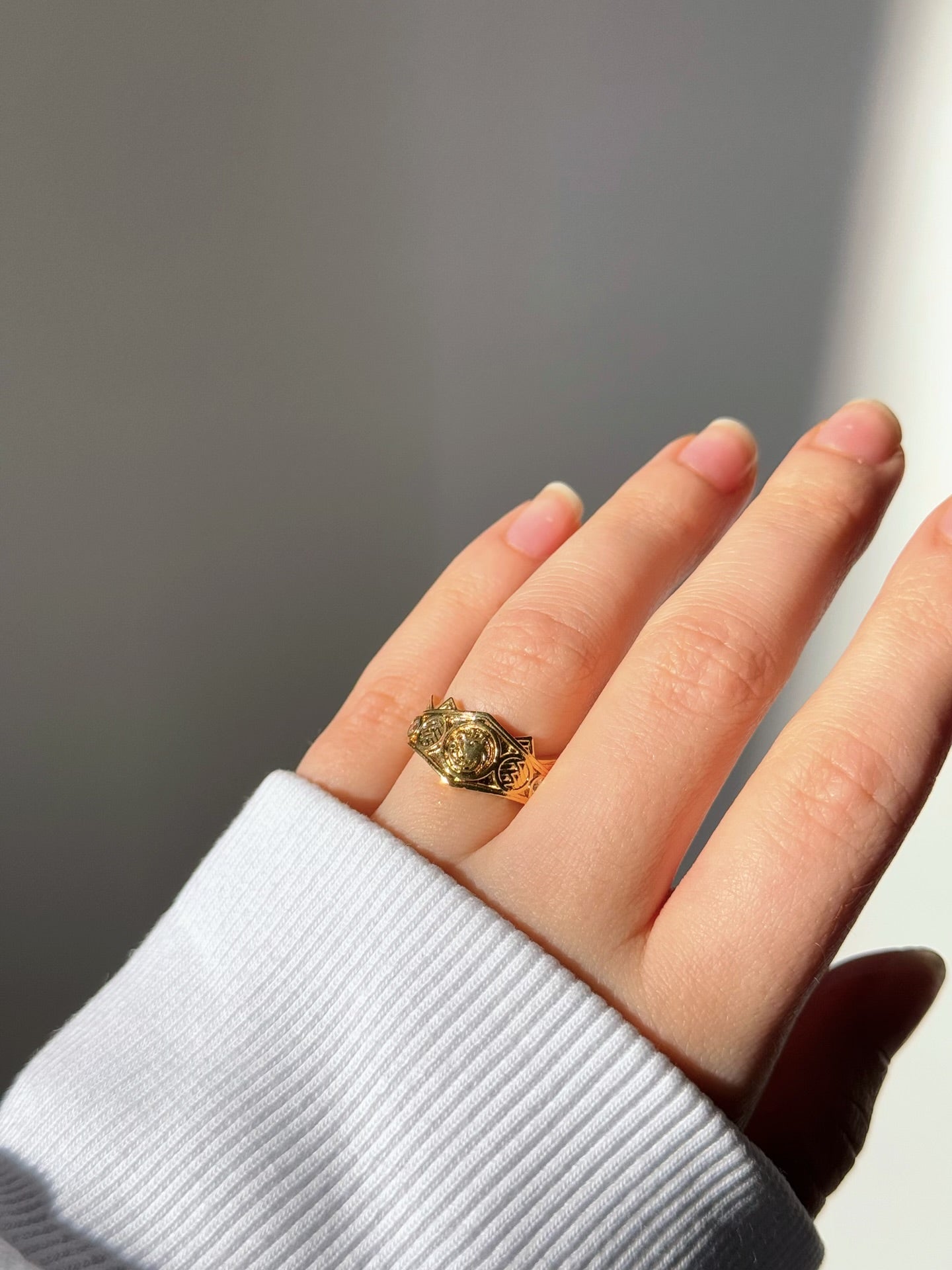 Daenerys & Jon Snow Couple Rings | GoT Inspired Couple Rings | Khaleesi and Jon Snow Adjustable Rings